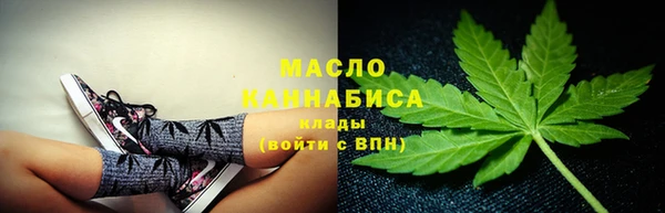 твердый Краснослободск
