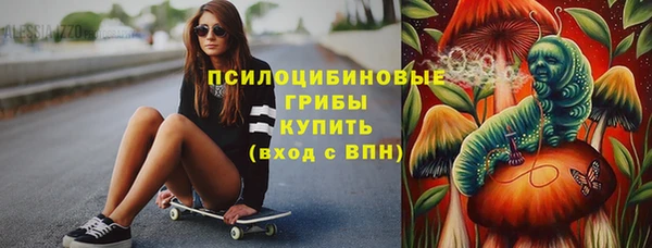 твердый Краснослободск