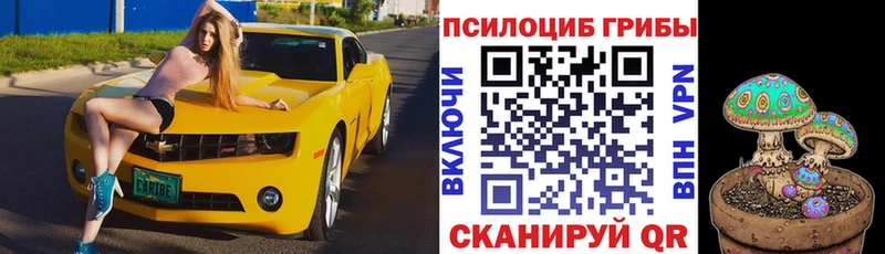 Галлюциногенные грибы Cubensis  Купить  Менделеевск 