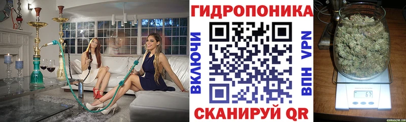 МАРИХУАНА THC 21%  Купить  Менделеевск 